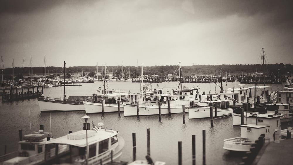 2017 Chesapeake Bay Buyboat Show