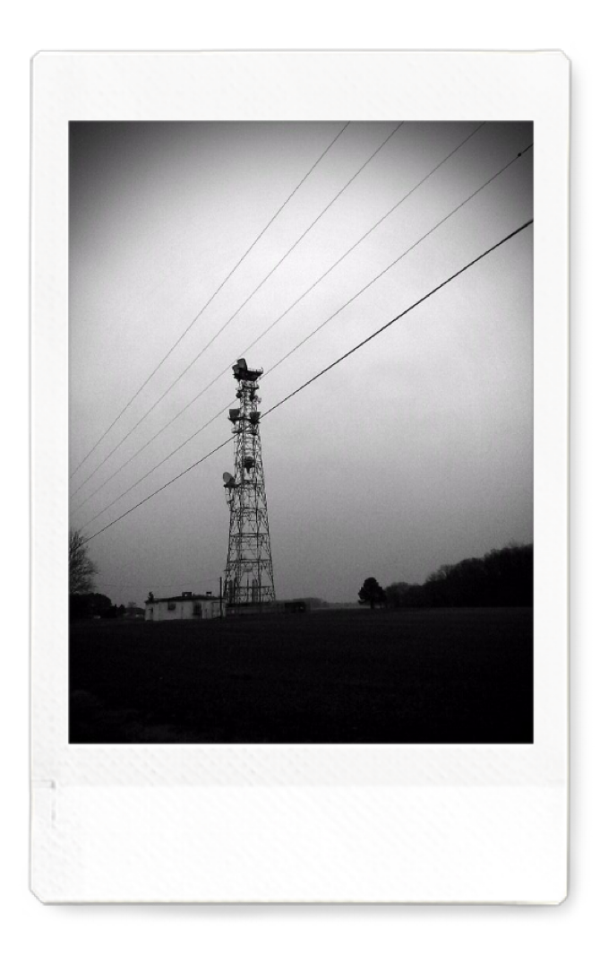 No Signal