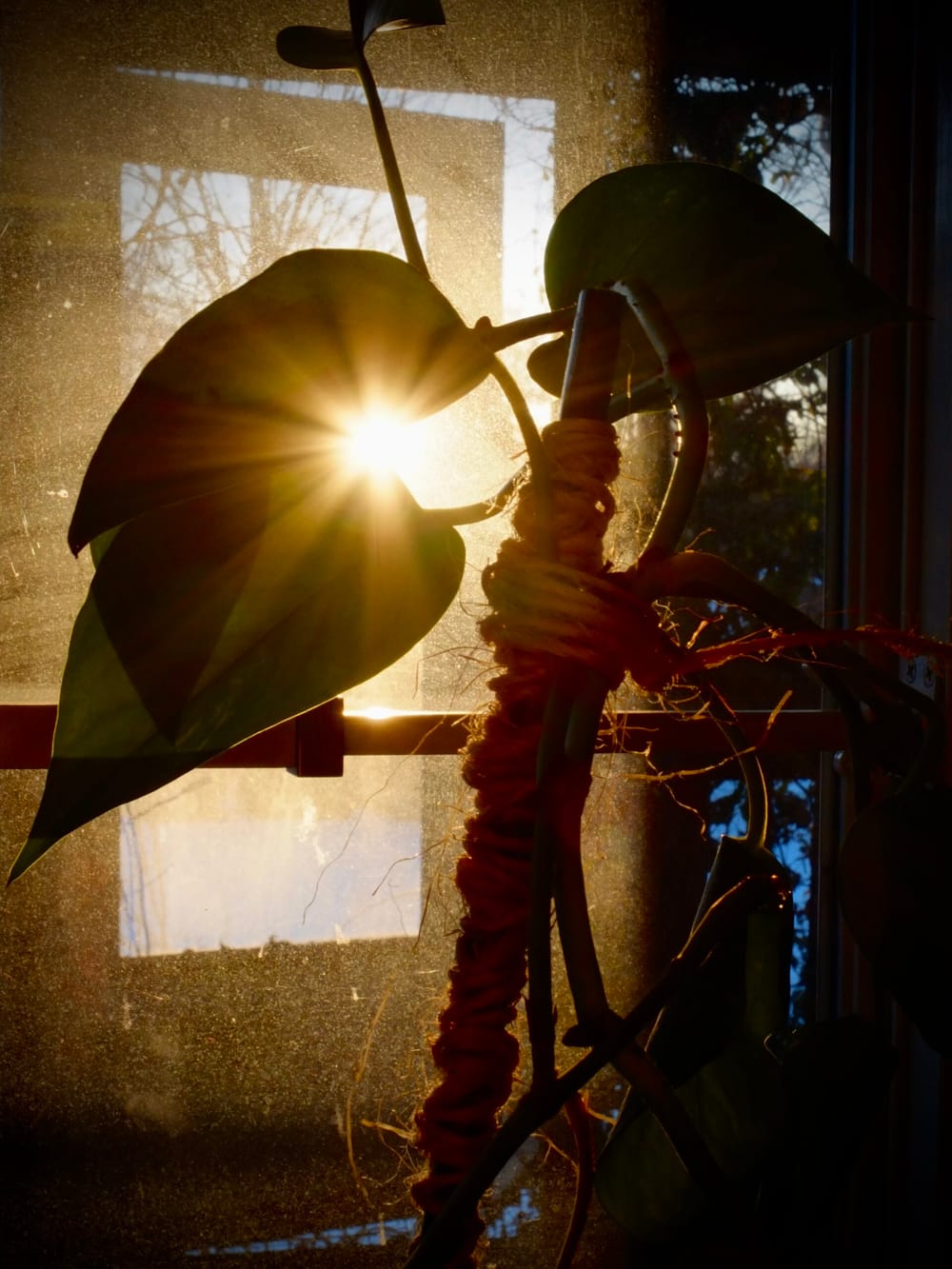 Backlight 2