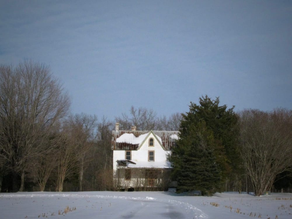 Rabbit Hill Road #2