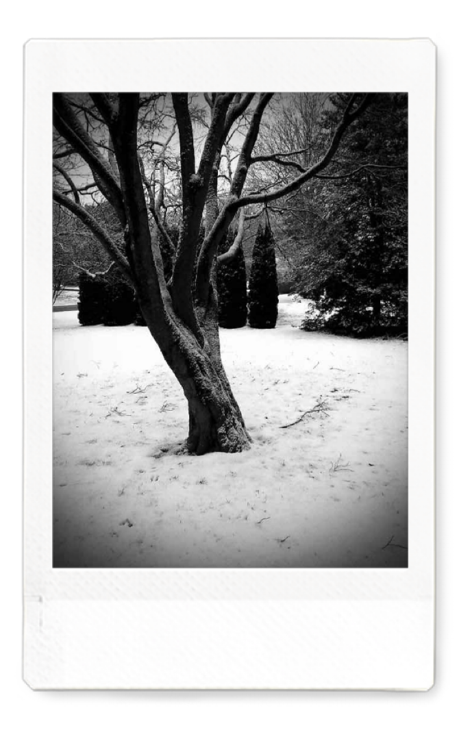 Winter Coat