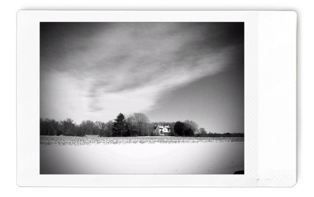 Rabbit Hill Road #1