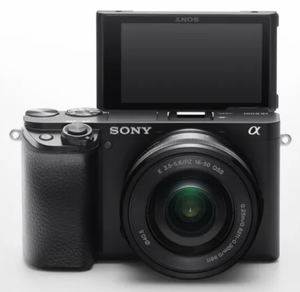 Around The Yard - Sony Alpha A6100 Review