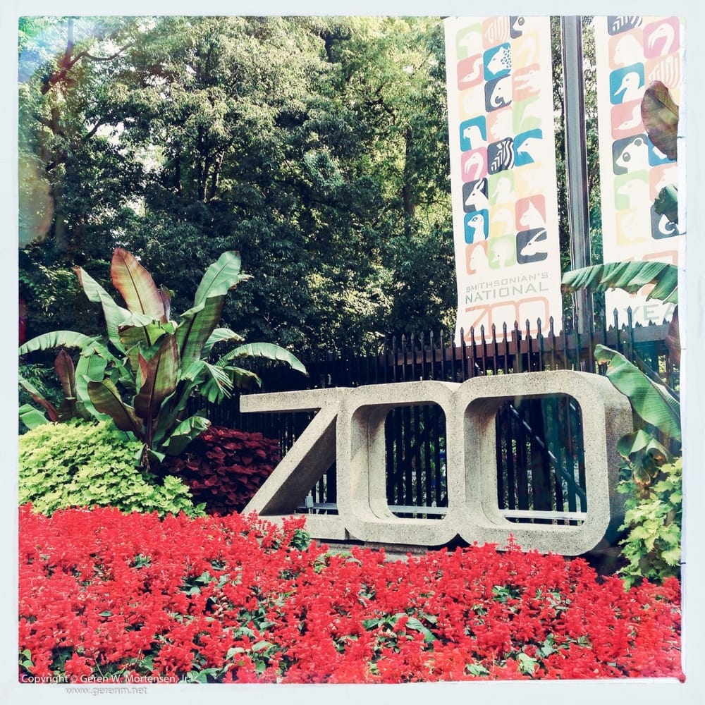 At The Zoo...